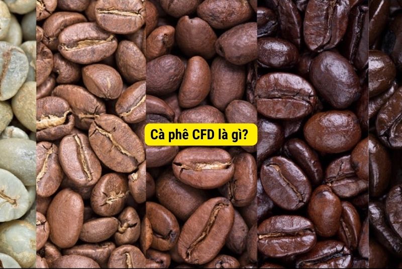 cà phê CFD là gì