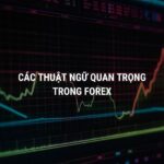 Các Thuật Ngữ Trong Forex