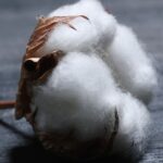 Cotton CFD là gì?