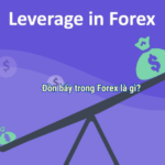 đòn bẩy trong forex là gì