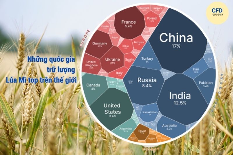 top những quốc gia trữ lượng lúa mì thế giới