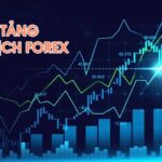 nền tảng giao dịch forex